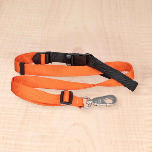 Sports Doggie Leash - Orange