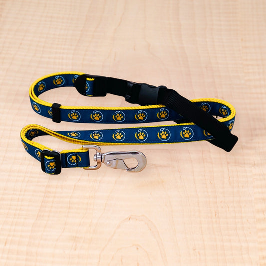 Sports Doggie Leash - Our Pack