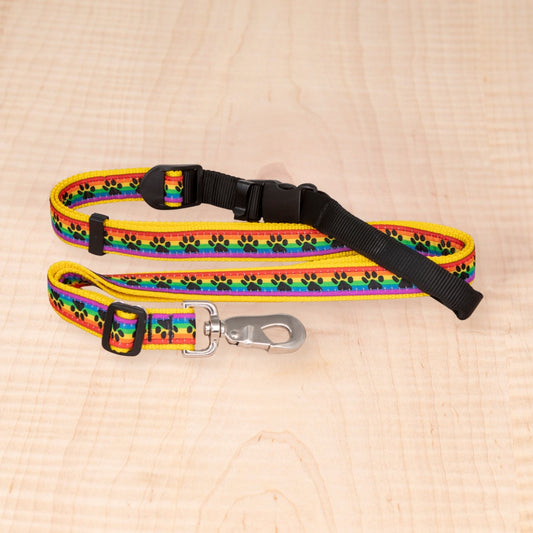 Sports Doggie Leash - Rainbow Paws