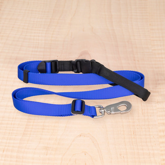 Sports Doggie Leash - Royal