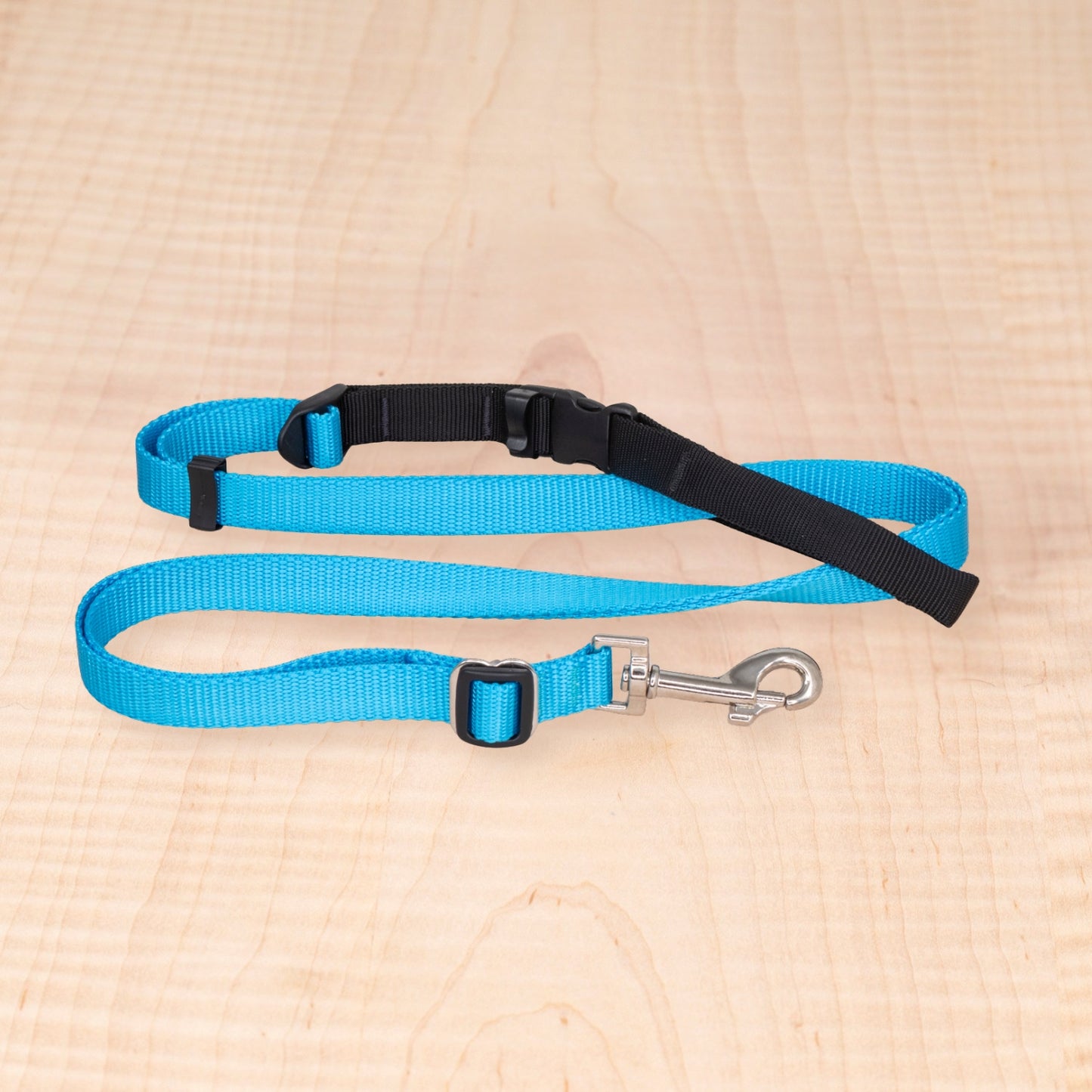 Sports Doggie Leash - Aqua