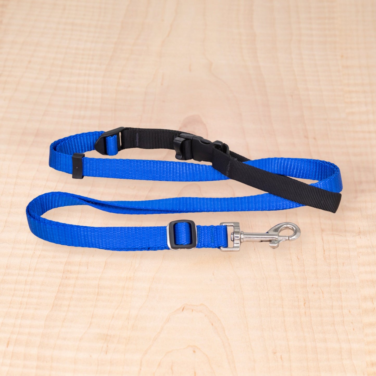 Sports Doggie Leash - Royal