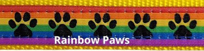 Super Bungee Leash - Rainbow Paws