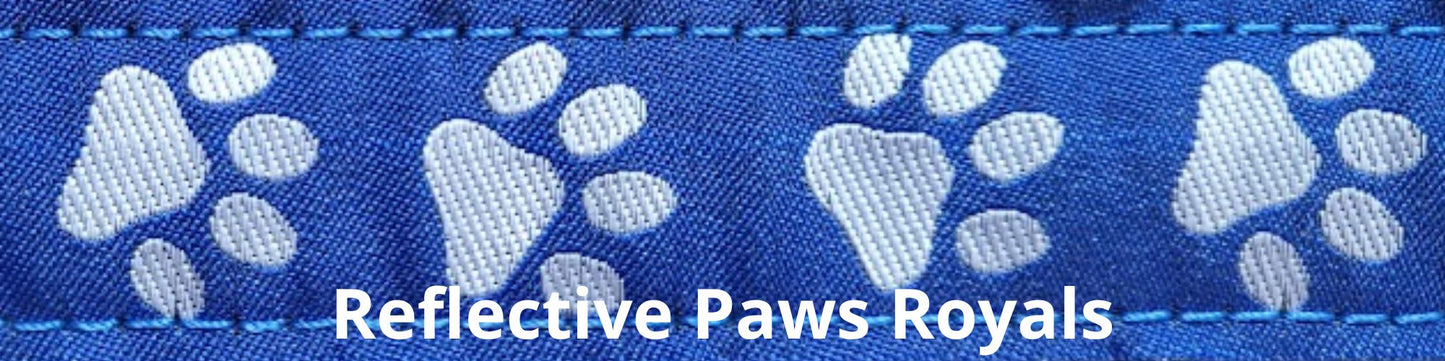 Super Bungee Leash - Reflective Paws Royal