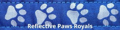 Super Bungee Leash - Reflective Paws Royal