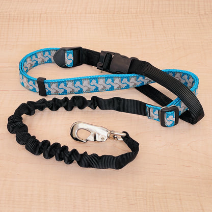 Super Bungee Leash - Bones