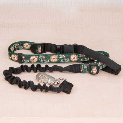 Super Bungee Leash - Hiking