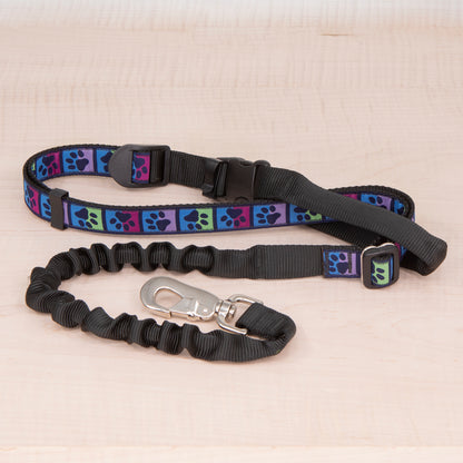 Super Bungee Leash - Jewel Tone Paws