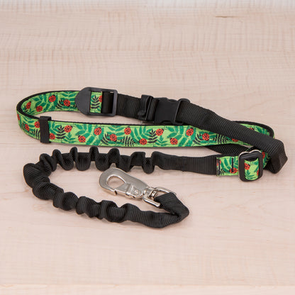 Super Bungee Leash - Ladybug