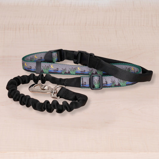 Super Bungee Leash - Loons