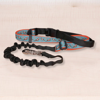 Super Bungee Leash - Otters
