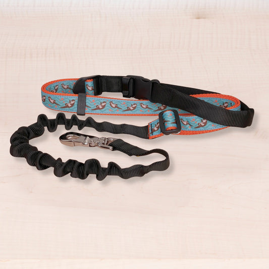 Super Bungee Leash - Otters