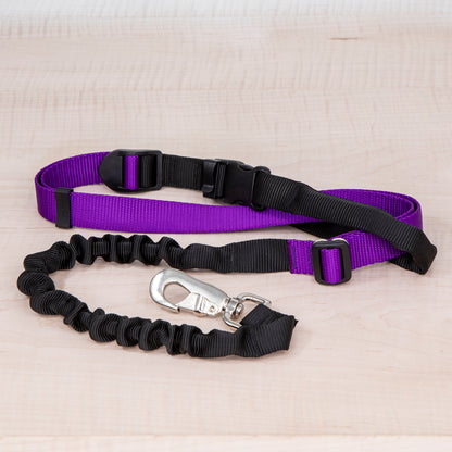 Super Bungee Leash - Purple