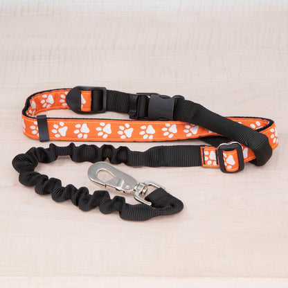 Super Bungee Leash - Reflective Paws Orange