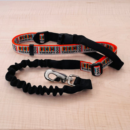 Super Bungee Leash - Therapy Dog