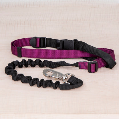 Super Bungee Leash - Wine