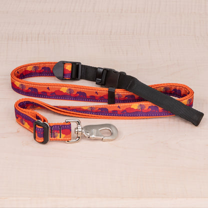 Sports Doggie Leash - Bears