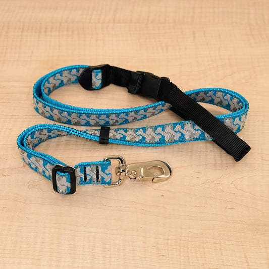 Sports Doggie Leash -  Bones