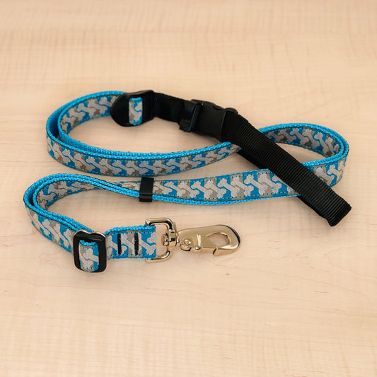 Sports Doggie Leash - Bones