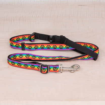 Sports Doggie Leash -  Rainbow Paws